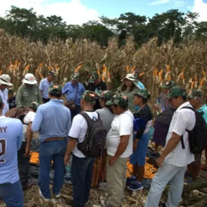 comunidad-productividad-11c