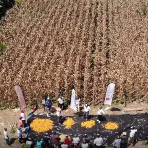 comunidad-productividad-12c