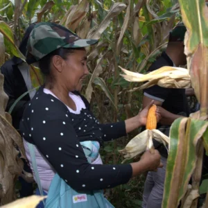 comunidad-productividad-6c